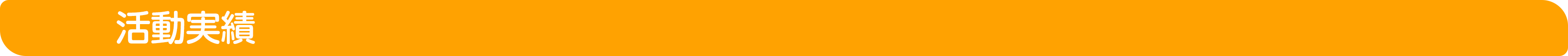 活動実績